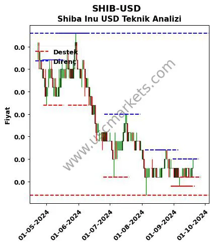 SHIB-USD fiyat-yorum-grafik