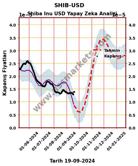 SHIB-USD hisse hedef fiyat 2024 Shiba Inu USD grafik