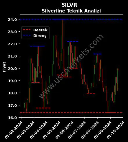 SILVR fiyat-yorum-grafik