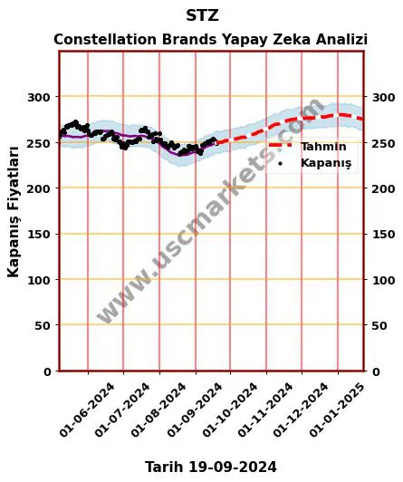 STZ hisse hedef fiyat 2024 Constellation Brands grafik