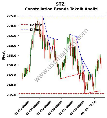 STZ destek direnç Constellation Brands teknik analiz grafik STZ fiyatı