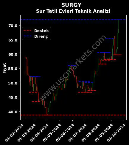 SURGY fiyat-yorum-grafik