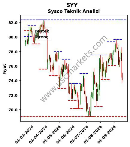 SYY fiyat-yorum-grafik