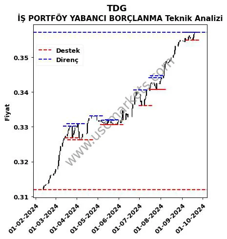 TDG fiyat-yorum-grafik