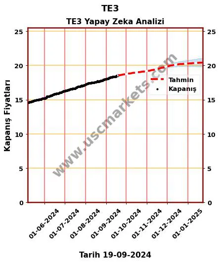 TE3 hisse hedef fiyat 2024 TE3 grafik