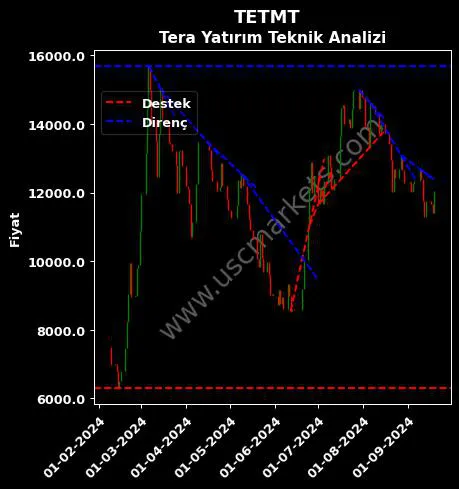 TETMT destek direnç TETAMAT GIDA YATIRIMLARI teknik analiz grafik TETMT fiyatı