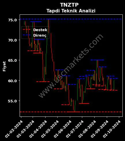 TNZTP fiyat-yorum-grafik