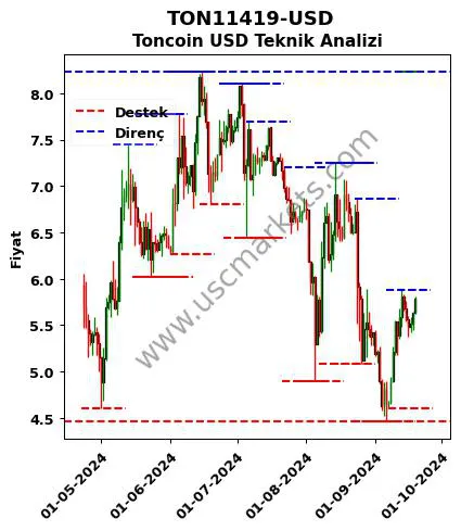 TON11419-USD fiyat-yorum-grafik