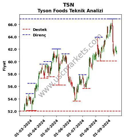 TSN fiyat-yorum-grafik