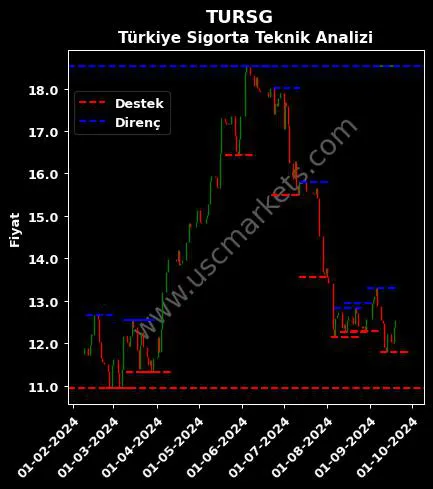 TURSG fiyat-yorum-grafik