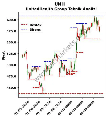 UNH fiyat-yorum-grafik