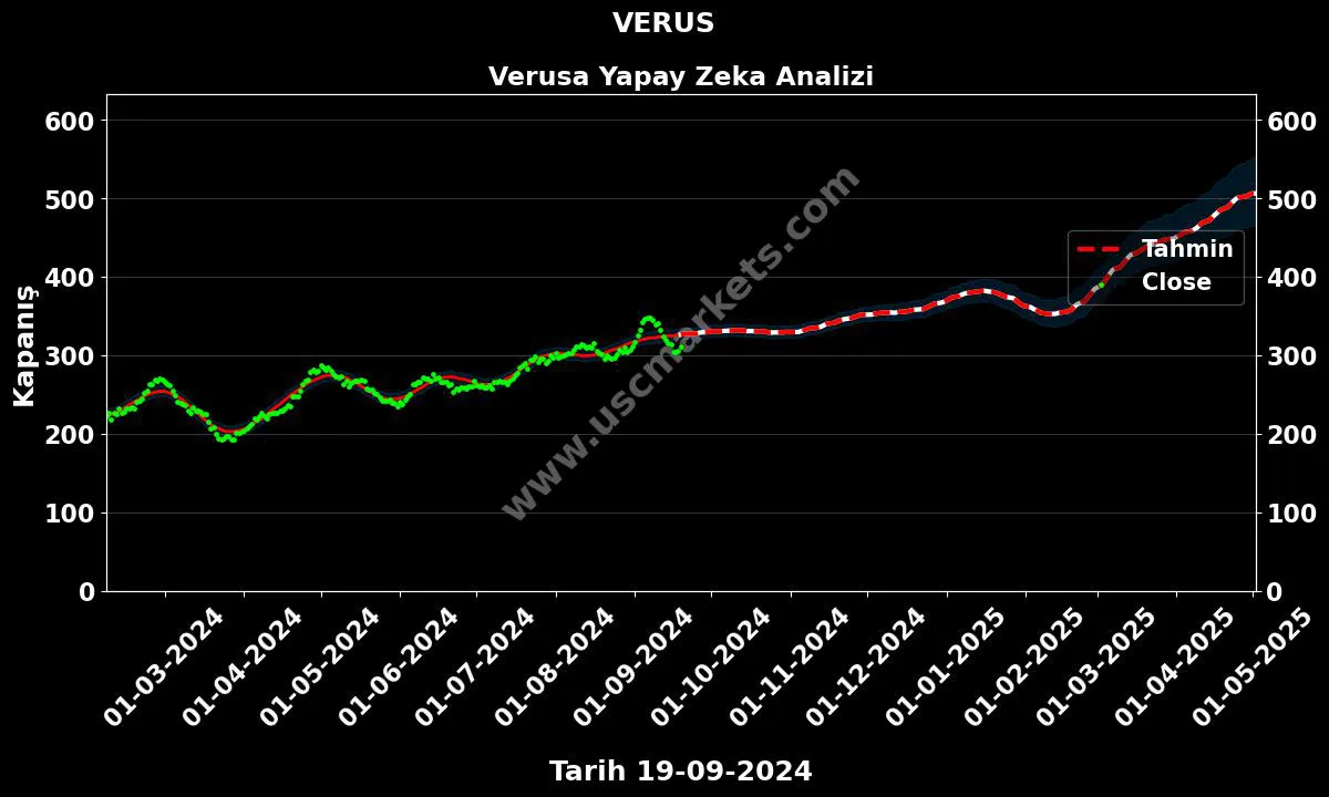 VERUS hisse hedef fiyat 2024 Verusa grafik