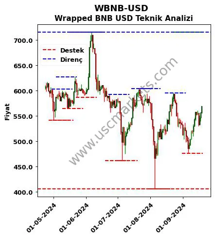 WBNB-USD fiyat-yorum-grafik