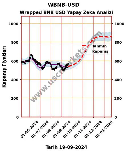 WBNB-USD hisse hedef fiyat 2024 Wrapped BNB USD grafik