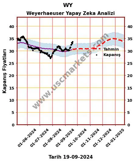 WY hisse hedef fiyat 2024 Weyerhaeuser grafik