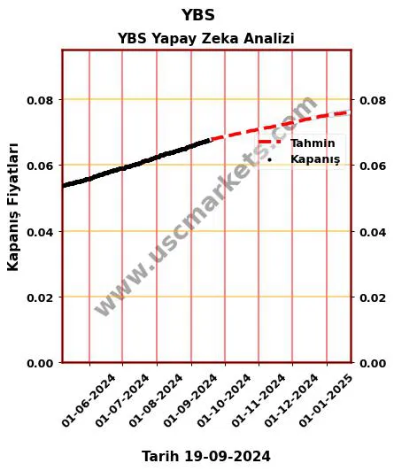 YBS hisse hedef fiyat 2024 YBS grafik