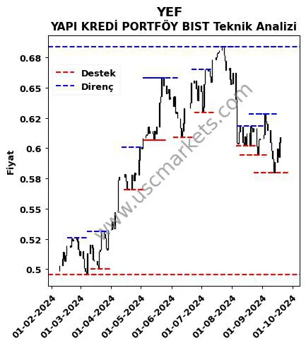 YEF fiyat-yorum-grafik