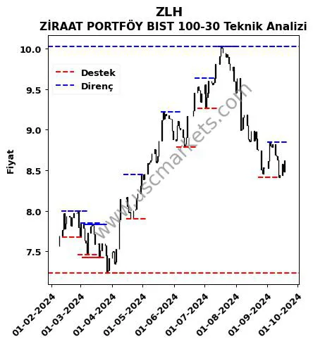 ZLH fiyat-yorum-grafik