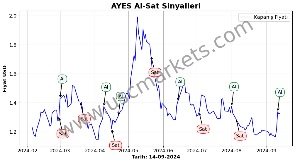 AYES algoritma sinyalleri 1