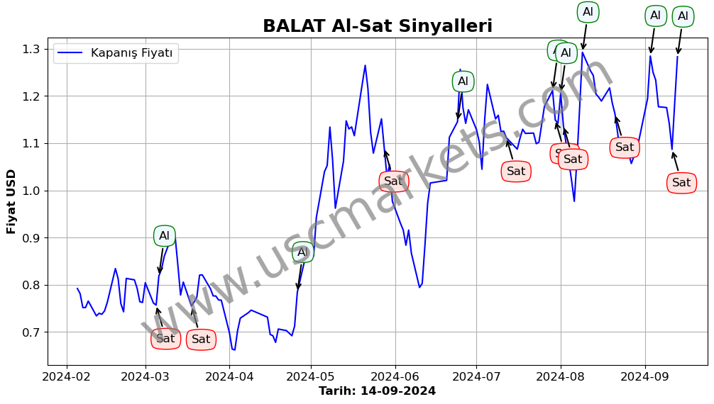 BALAT algoritma sinyalleri 2