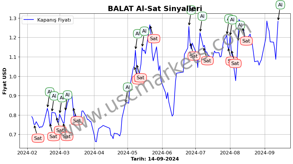 BALAT algoritma sinyalleri 1