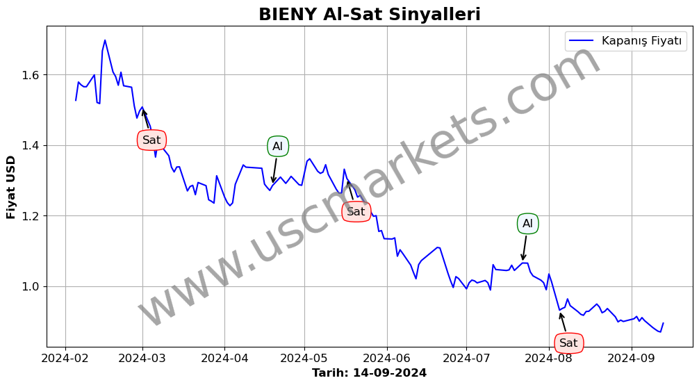 BIENY algoritma sinyalleri 2