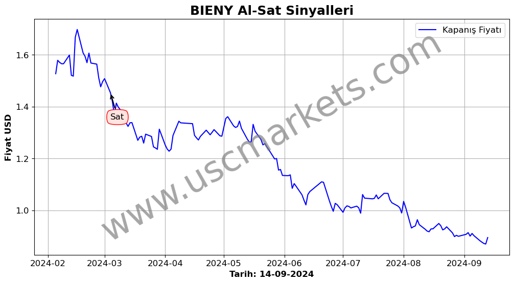 BIENY algoritma sinyalleri 3