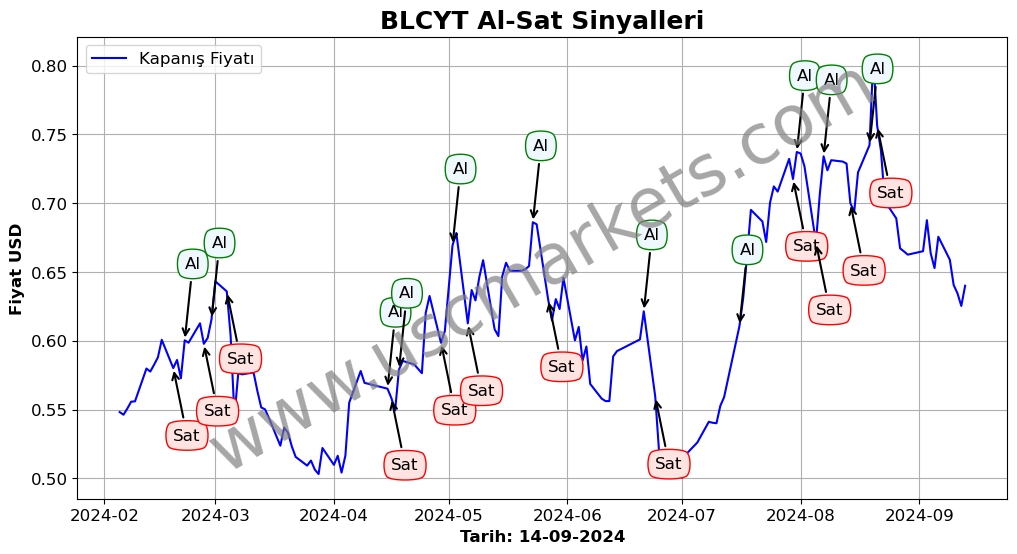 BLCYT algoritma sinyalleri 3