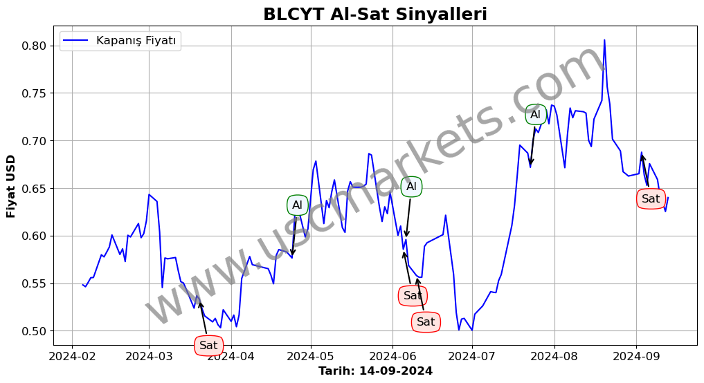 BLCYT algoritma sinyalleri 2