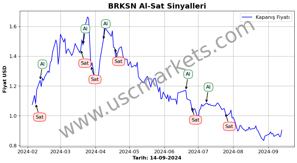 BRKSN algoritma sinyalleri 3