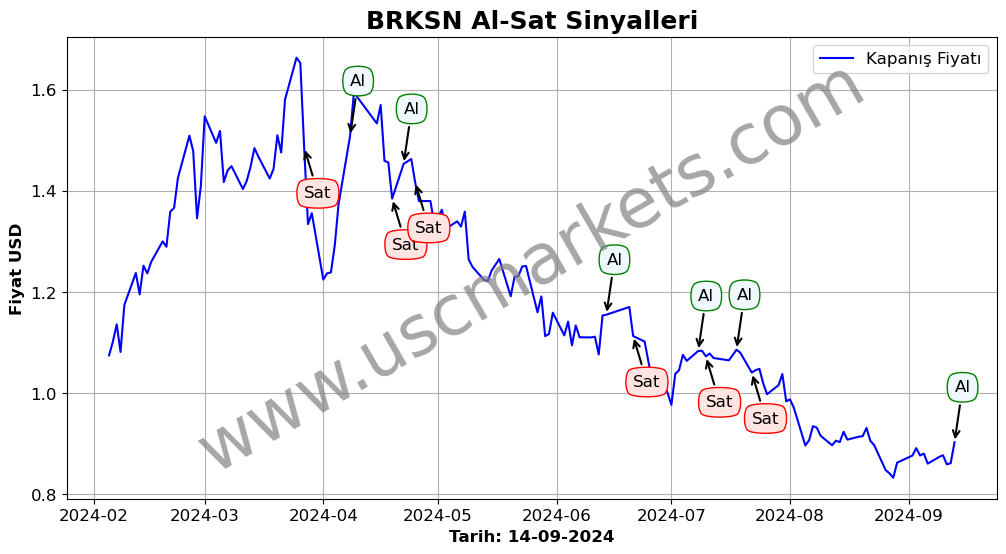 BRKSN algoritma sinyalleri 1