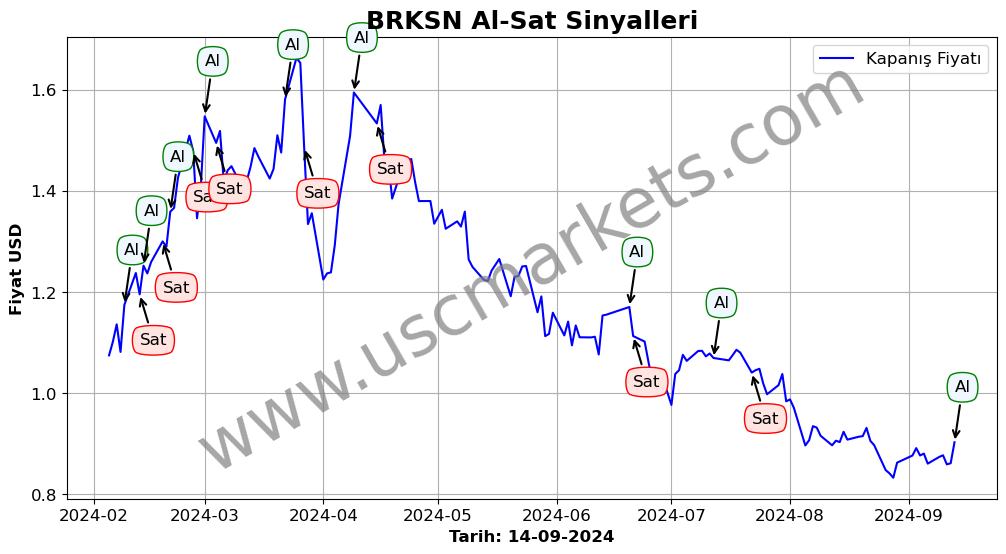 BRKSN algoritma sinyalleri 4