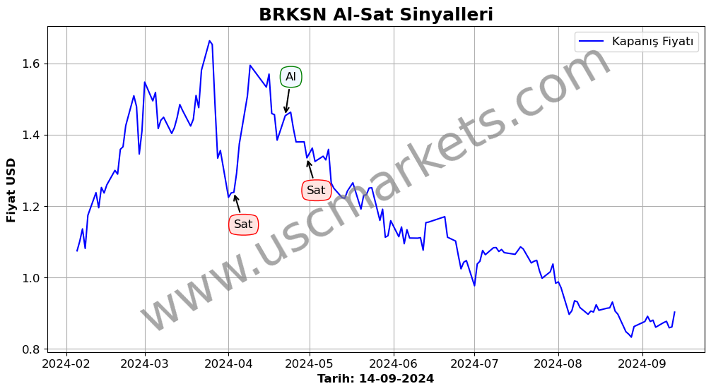 BRKSN algoritma sinyalleri 2