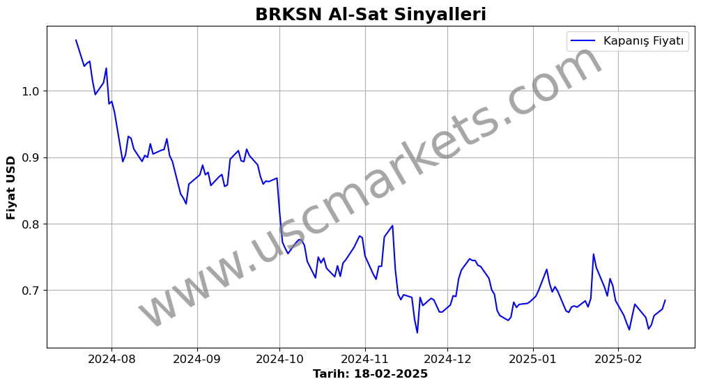 BRKSN algoritma sinyalleri 2