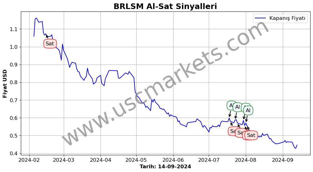 BRLSM algoritma sinyalleri 1