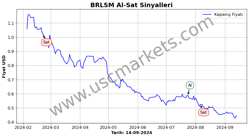 BRLSM algoritma sinyalleri 2