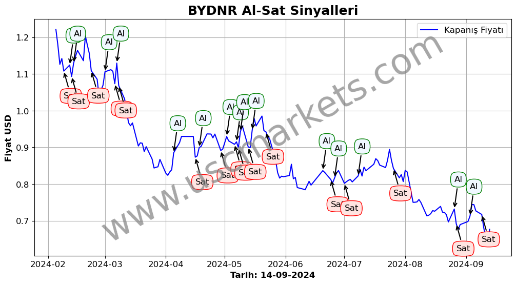 BYDNR algoritma sinyalleri 2