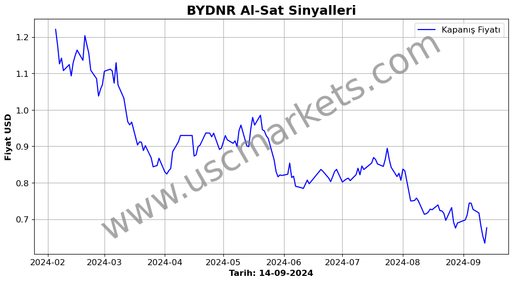 BYDNR algoritma sinyalleri 3