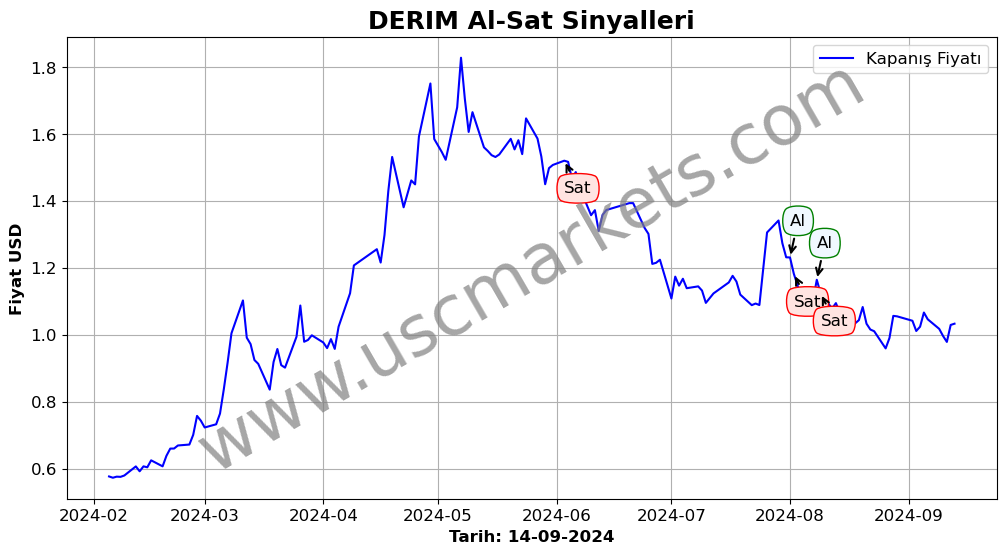 DERIM algoritma sinyalleri 2