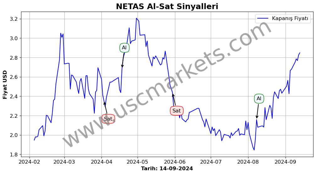 NETAS algoritma sinyalleri 2