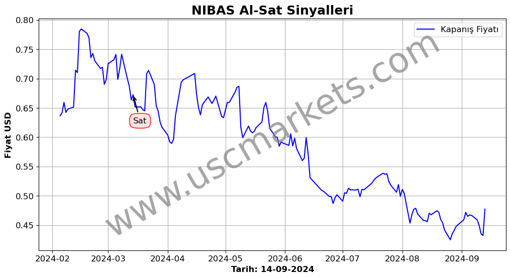 NIBAS algoritma sinyalleri 2