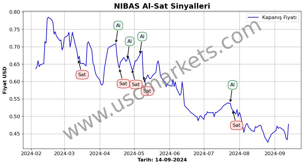 NIBAS algoritma sinyalleri 4