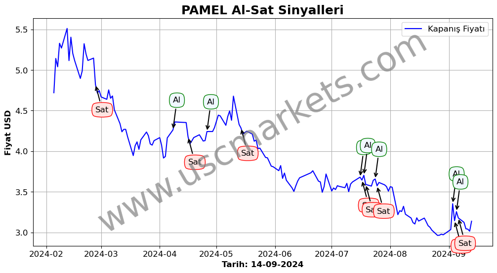 PAMEL algoritma sinyalleri 4