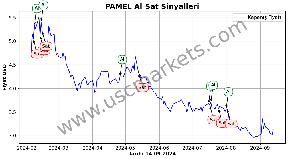 PAMEL algoritma sinyalleri 3