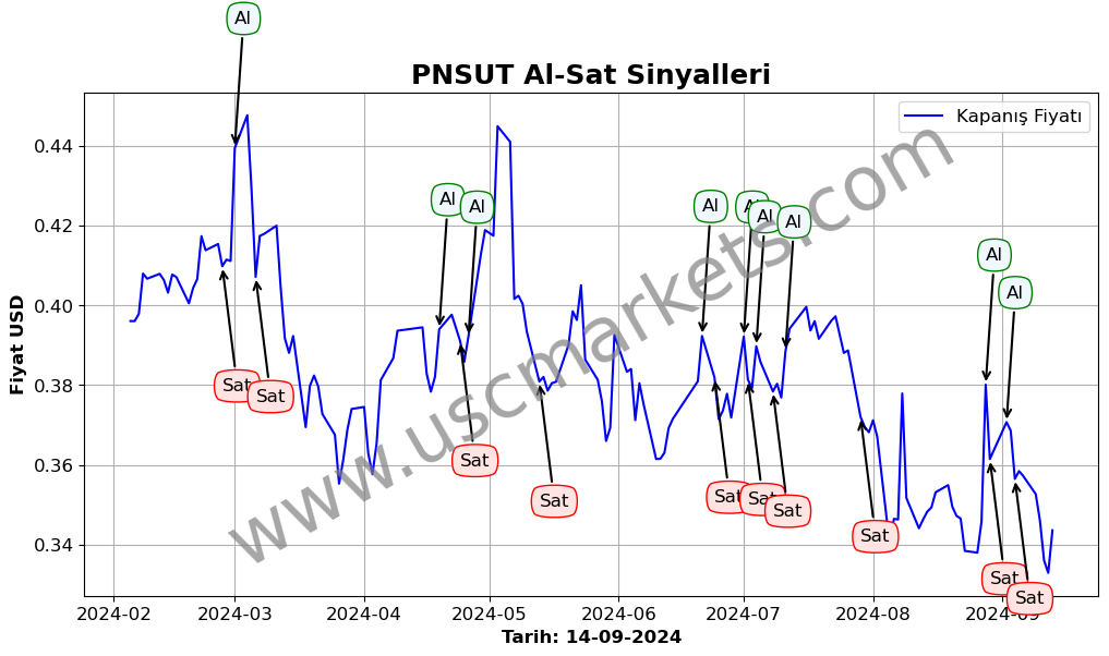 PNSUT algoritma sinyalleri 3