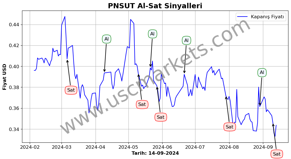 PNSUT algoritma sinyalleri 2