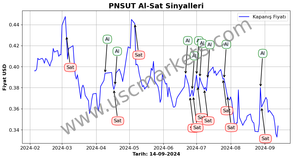 PNSUT algoritma sinyalleri 1