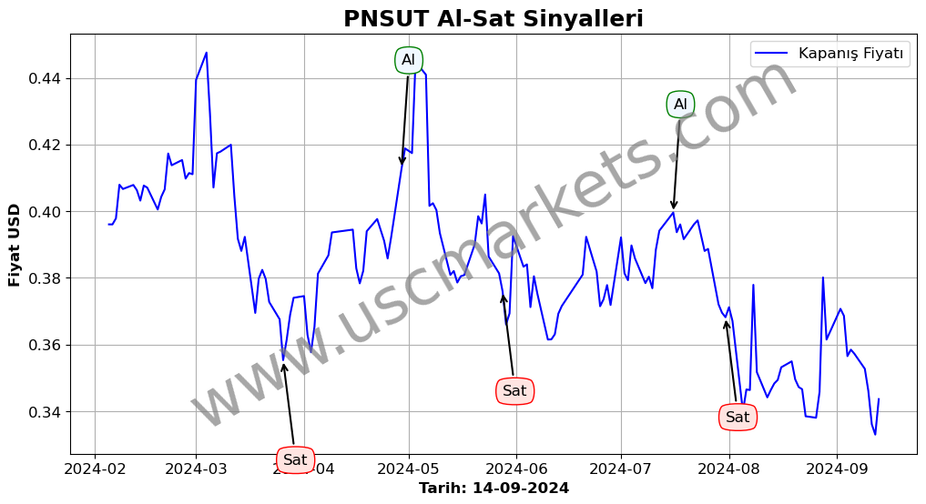 PNSUT algoritma sinyalleri 4