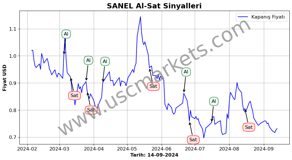 SANEL algoritma sinyalleri 3