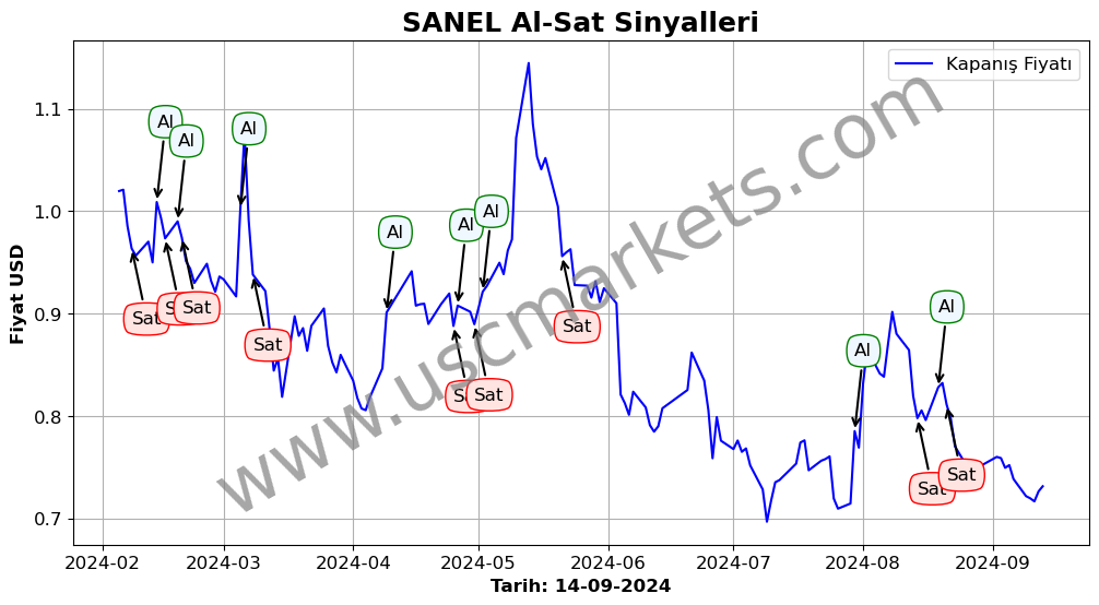 SANEL algoritma sinyalleri 4